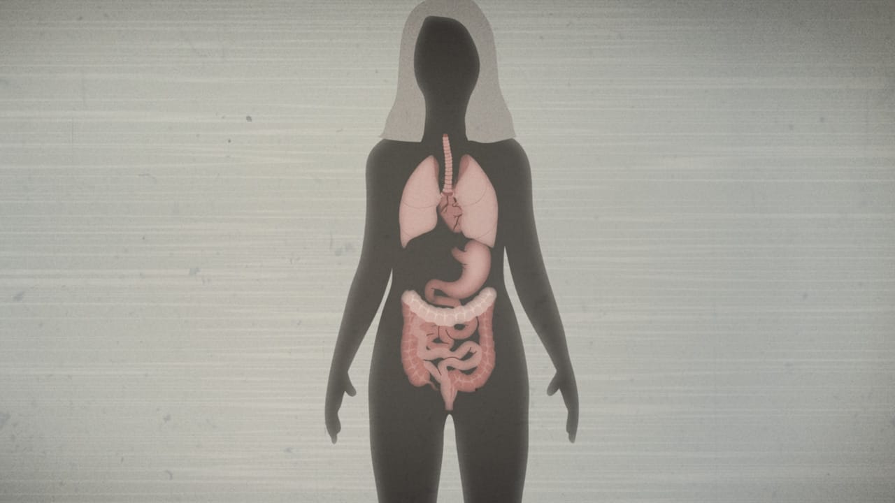 rotten-03.jpg